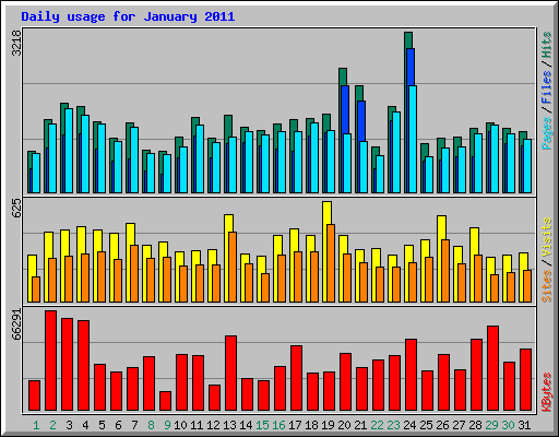 Daily usage for January 2011