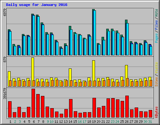 Daily usage for January 2016