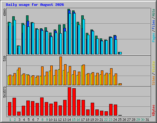 Daily usage for August 2026
