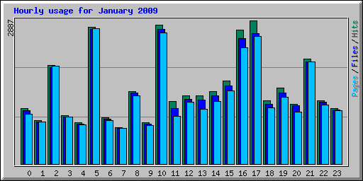 Hourly usage for January 2009