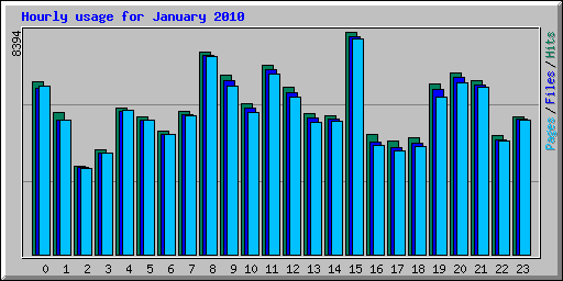 Hourly usage for January 2010