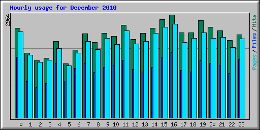 Hourly usage for December 2010