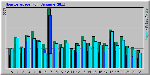 Hourly usage for January 2011