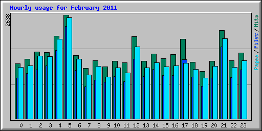 Hourly usage for February 2011