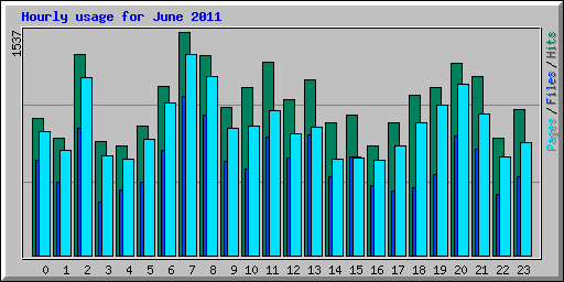 Hourly usage for June 2011