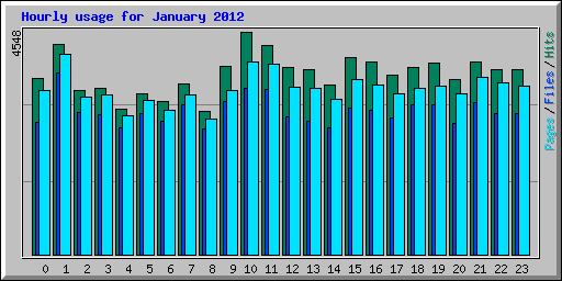 Hourly usage for January 2012