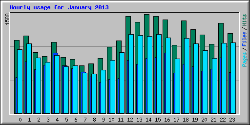 Hourly usage for January 2013