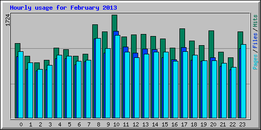 Hourly usage for February 2013