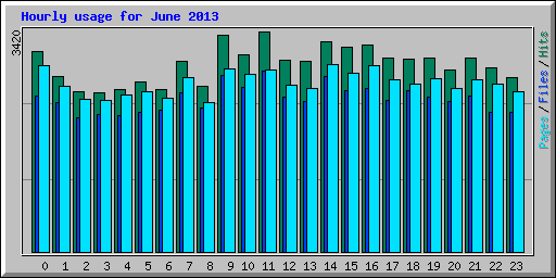 Hourly usage for June 2013