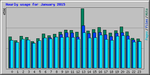 Hourly usage for January 2015