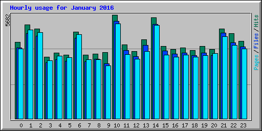 Hourly usage for January 2016