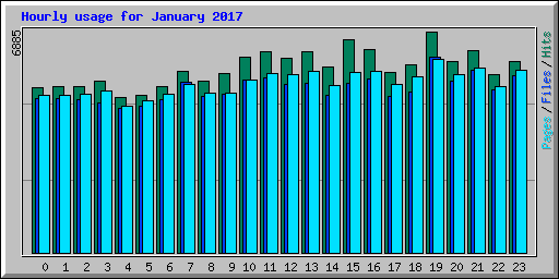 Hourly usage for January 2017