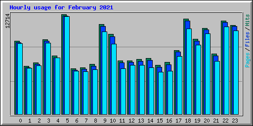 Hourly usage for February 2021