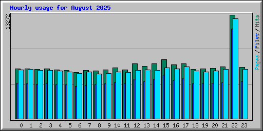 Hourly usage for August 2025