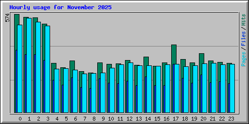 Hourly usage for November 2025