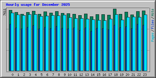 Hourly usage for December 2025