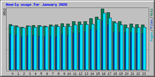 Hourly usage for January 2026