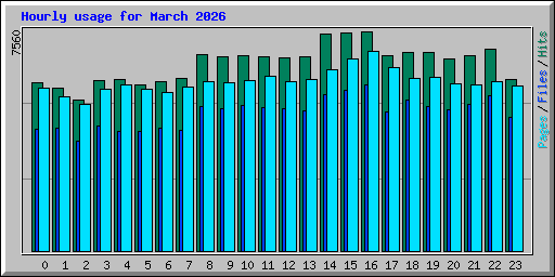 Hourly usage for March 2026