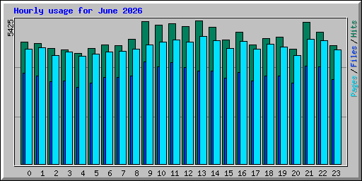 Hourly usage for June 2026