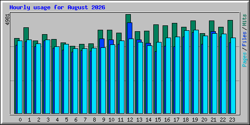 Hourly usage for August 2026
